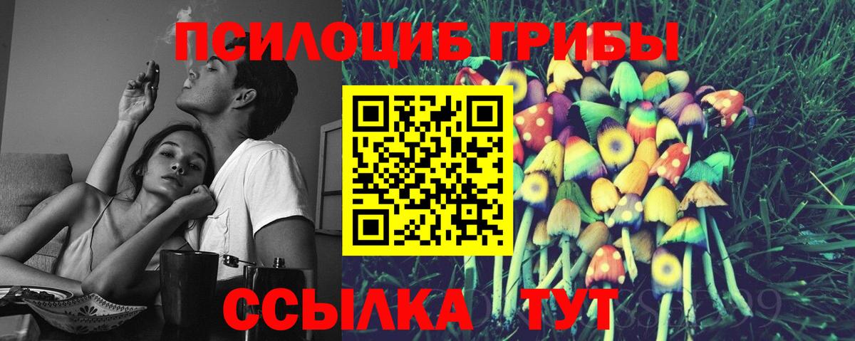 Псилоцибиновые грибы MAGIC MUSHROOMS Артёмовский