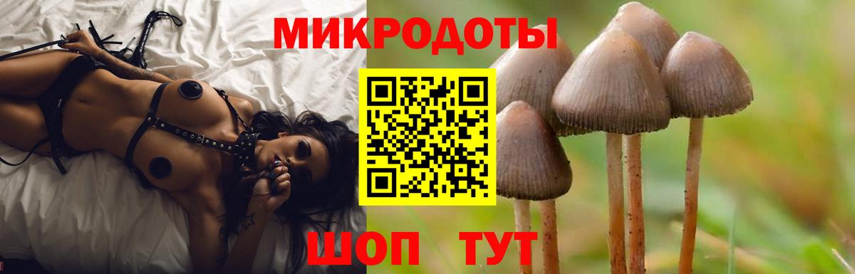Артёмовский  Псилоцибиновые грибы Psilocybine cubensis  Вход с VPN 